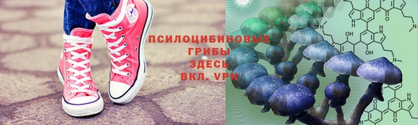 каннабис Арсеньев